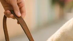 Por qué hablar con tu perro te calma y te ayuda a sentirte menos sola