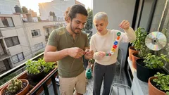 Cómo ahuyentar aves de tus macetas con tapas de refresco y sin gastar