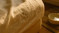 Dormir con tu perro o gato: lo que cambia en tu sueño, higiene y alergias